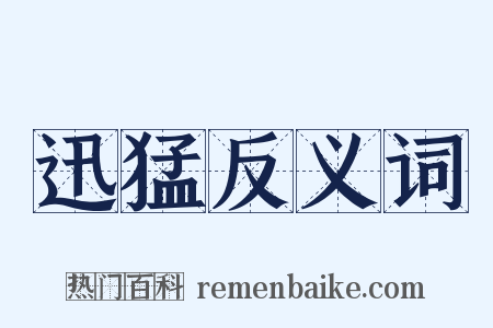 迅猛反义词是什么意思的图片